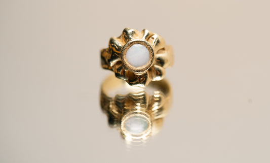 Australian Opal Daisy